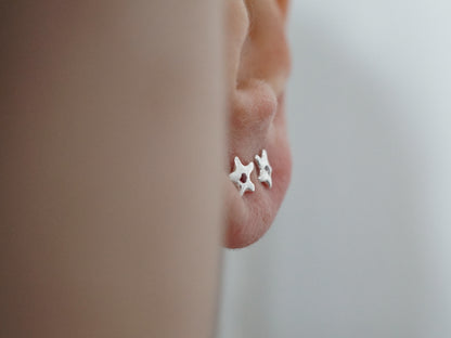 LUMIÈRE earrings