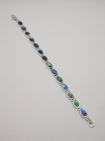 PBRA4580