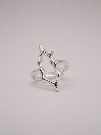 SHIELD ring