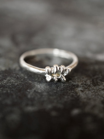 FLYTRAP ring with sapphire