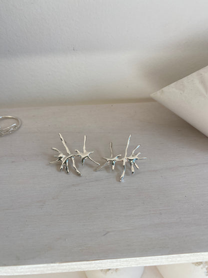 ÉMOI earrings