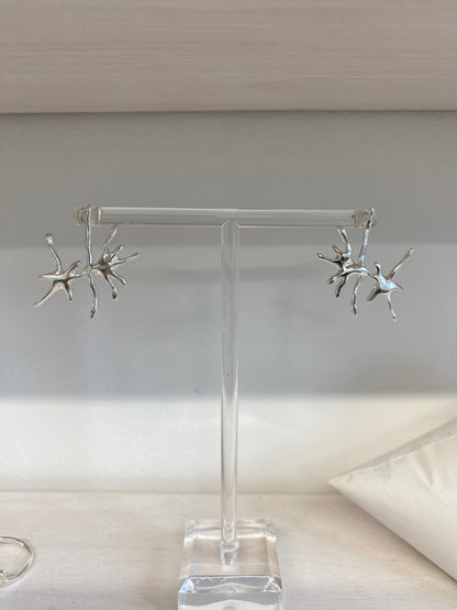 ÉMOI earrings