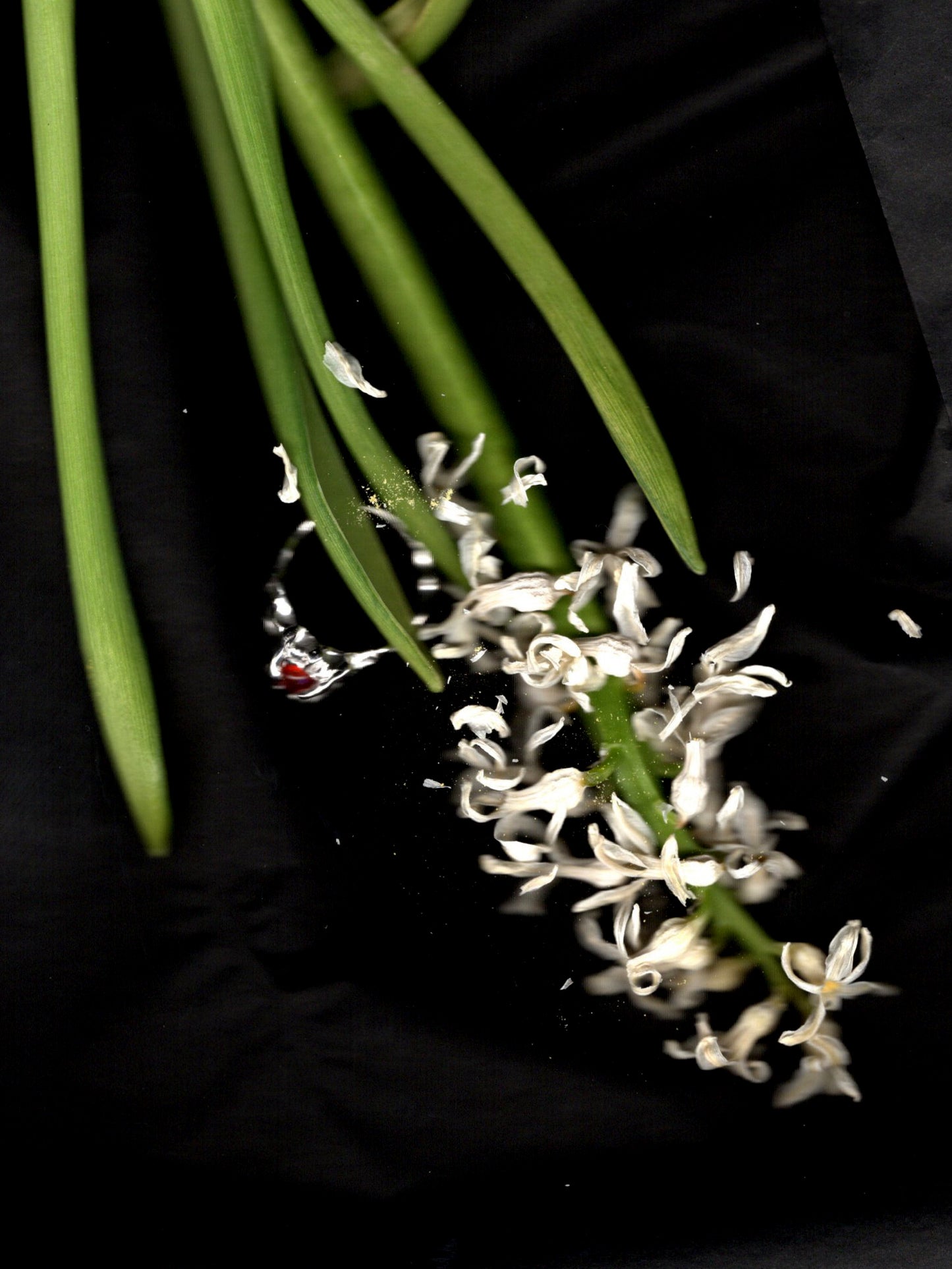 sterling silver OOAK ring with fire opal sphere