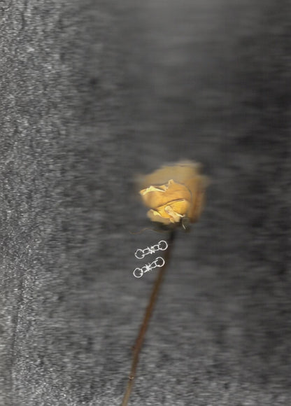 Boucles d'oreilles MICROC en argent sterling